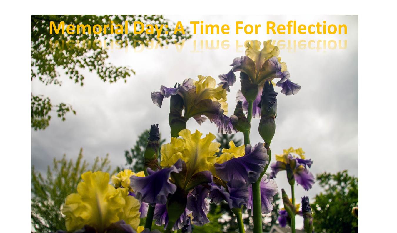Memorial Day A Time For Reflection – Don Detrick